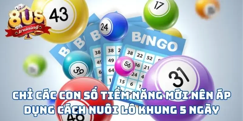 Cách Nuôi Lô Khung 5 Ngày - 3 Bước Đơn Giản Rinh Về Thưởng Lớn 3 Chỉ các con số tiềm năng mới nên áp dụng cách nuôi lô khung 5 ngày