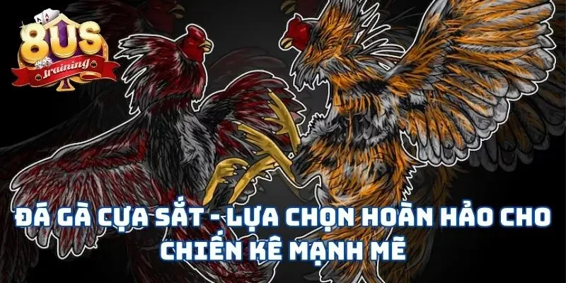 Đá Gà Cựa Sắt - Lựa Chọn Hoàn Hảo Cho Chiến Kê Mạnh Mẽ 2 Đá Gà Cựa Sắt - Lựa Chọn Hoàn Hảo Cho Chiến Kê Mạnh Mẽ